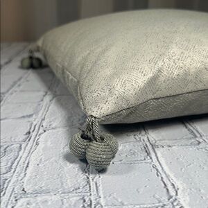 Waterford Fine Linens Square 14”x14” Beaded Tassel Throw Pillow Grey Sage Green